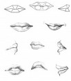 /album/fotogaleria/labios-1-jpg/